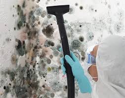 Best Attic Mold Removal  in Fall River, WI